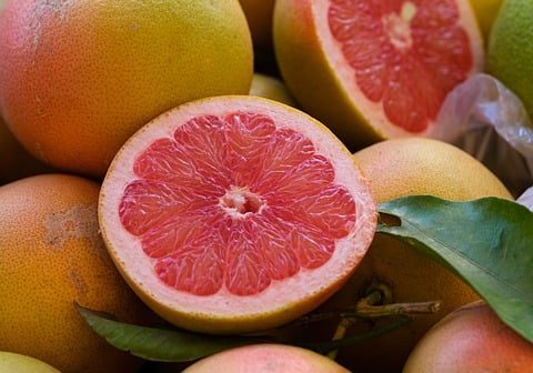 orange-7669963_640