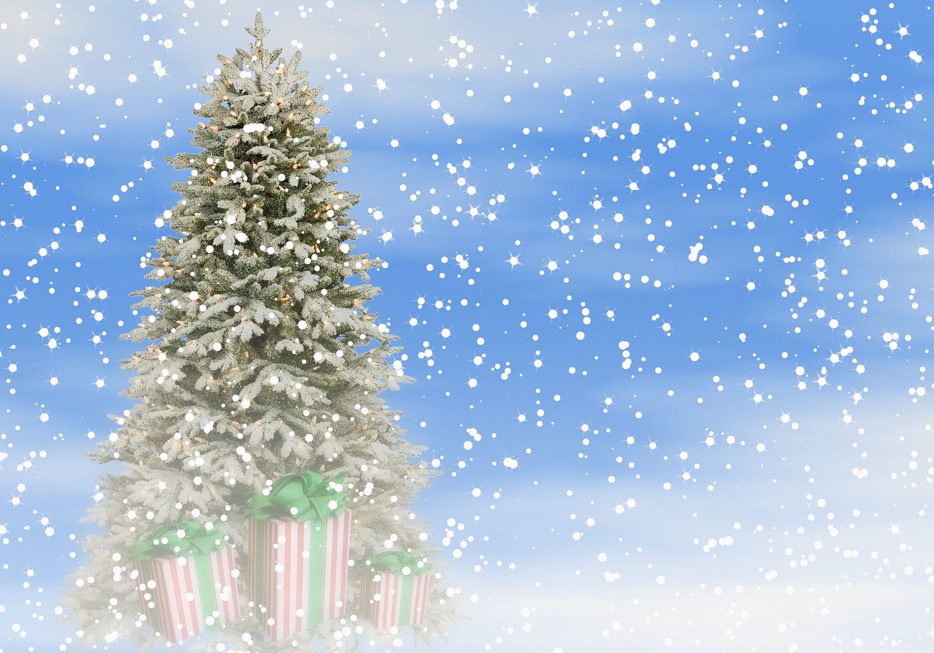 the-occasion-of-christmas-4691942_1920